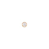 Daniel Wellington - Orecchini Crystal Stud Gold