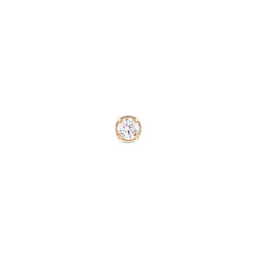 Daniel Wellington - Orecchini Crystal Stud Gold