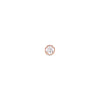 Daniel Wellington - Orecchini Crystal Stud Rose Gold