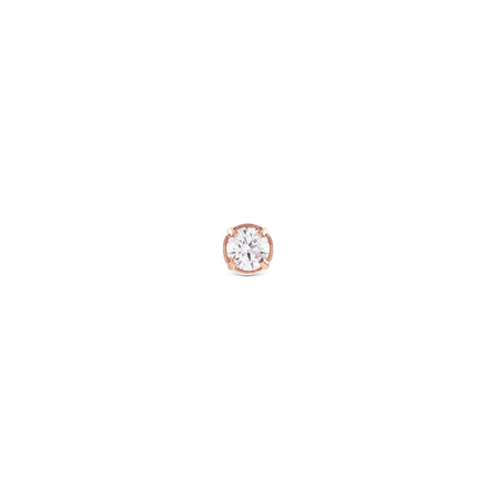 Daniel Wellington - Orecchini Crystal Stud Rose Gold