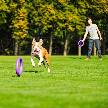 Ferplast Puller Gioco per Cani