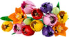 Lego Botanicals - Bouquet di Tulipani 11501