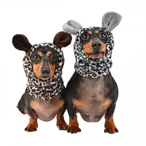 Paraorecchie Puppia Leonard per Cani