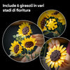 Lego Botanicals - Bouquet di Girasoli 11502