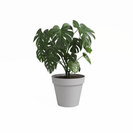 Vaso - ARTEVASI - CAPRI - 40 ma - Grigio chiaro