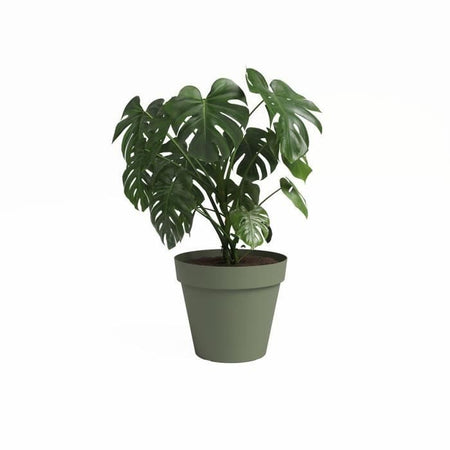 Vaso - ARTEVASI - CAPRI - 40 ma - Verde cenere