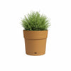 Vaso - ARTEVASI - RE GRANDE - 40 ma - Giallo miele