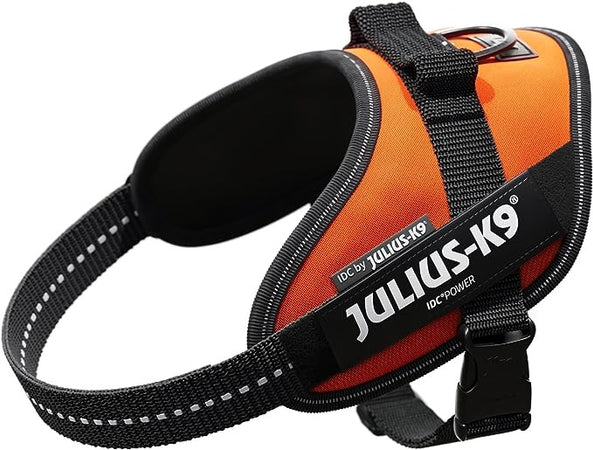 Pettorina Julius-K9 IDC Power Arancio Fluo