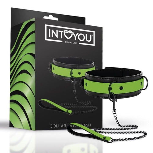 Collare al Guinzaglio Luminoso: Intoyou Shining Line
