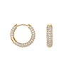 Daniel Wellington  - Orecchini Pavé Crystal Gold