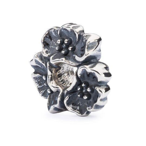 Trollbeads-Ciliegio in Fiore