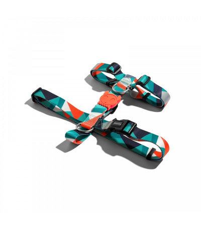 Pettorina ad H Zeedog Ella per Cani