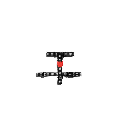 Pettorina ad H Zeedog Skull per Cani