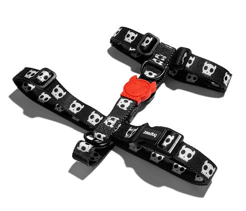 Pettorina ad H Zeedog Skull per Cani