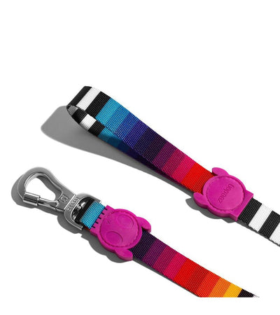 Guinzaglio Zeedog Prisma per Cani