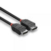 LINDY CAVO DISPLAYPORT 1.2 BLACK LINE 2M