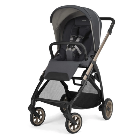 Inglesina - NUOVO System Quattro Electa Darwin Recline + Stand Up 2026