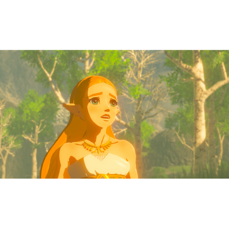 Switch - Legend of Zelda: Breath of the Wild