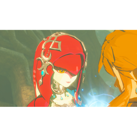 Switch - Legend of Zelda: Breath of the Wild