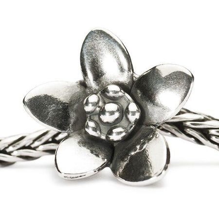 Gemma Fiorita-Trollbeads