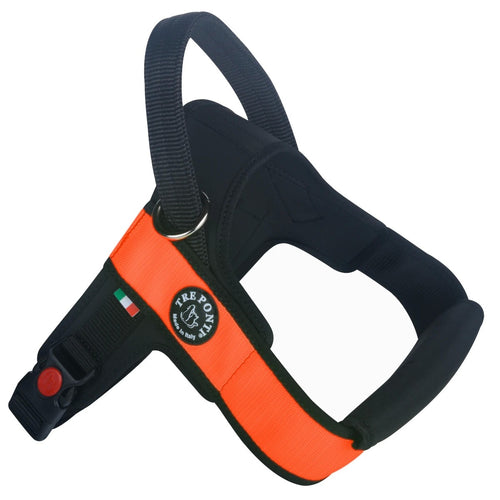 Pettorina Tre Ponti Arancione per Cani