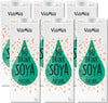 6 Bevande Di Soia Naturale (consegna gratuita ) 1000 Ml Biologico E Senza Glutine