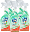 6 x Lysoform Tutto in 1 Disinfettante Spray Presidio Medico Chirurgico (6x750ml)