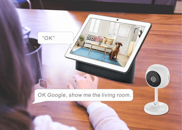 Smart Camera WiFi Full HD 2 MP Controllo Vocale Alexa Google, R4114