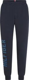 Tommy Hilfiger Pantaloni Blu da uomo