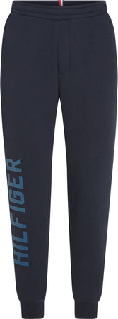 Tommy Hilfiger Pantaloni Blu da uomo