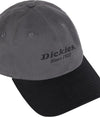 Dickies Unisex - Adulto, Cappello in Twill, Grafite, OS