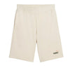 PUMA Ess 2 Color No. 1 Logo Shorts 10 TR Alpine Snow