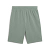 PUMA Ess 2 Color No. 1 Logo Shorts 10 TR Green Moon