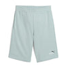 PUMA Ess 2 Color No. 1 Logo Shorts 10 TR Modern Mint