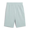 PUMA Ess 2 Color No. 1 Logo Shorts 10 TR Modern Mint
