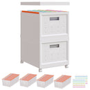 Cartelle a soffietto espandibili