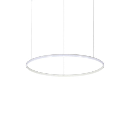 Lampada A Sospensione HULAHOOP SP D061