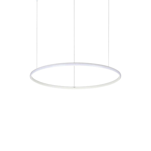 Lampada A Sospensione HULAHOOP SP D061