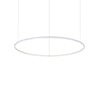 Lampada A Sospensione HULAHOOP SP D081