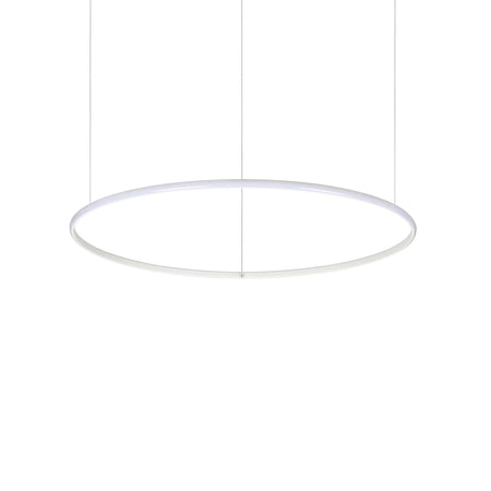 Lampada A Sospensione HULAHOOP SP D081