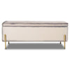 Cassapanca Pouf Contenitore Panca Sgabello Poggiapiedi Tessuto Velluto 105x44 H45cm Beige