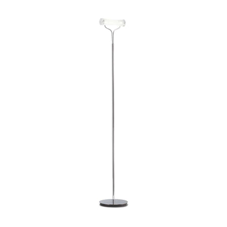 Lampada Da Terra STAND UP PT1
