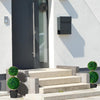Set da 2 Piante a 2 Sfere Realistico con Vaso incluso, erba, in Cemento, 60 cm, (Verde)
