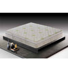 Materasso Aloe Vera Memory Foam e Poliflex Sfoderabile Antibatterico H25 160X190CM