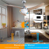 Ventilatore con Telecomando da Soffitto 3Pale Legno Lampada 65watt 122cm Silver