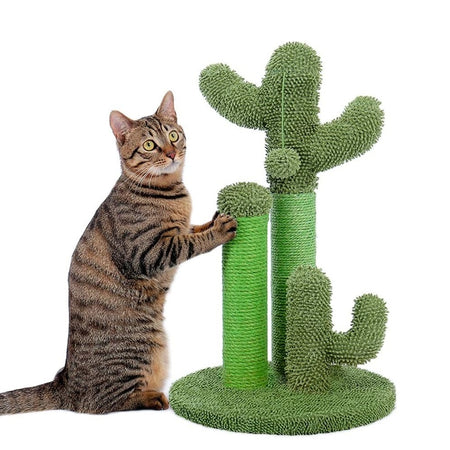 Tiragraffi Gioco Gatti, Graffiatoio Forma 3 Cactus con Pallina 34 x h59 cm Verde