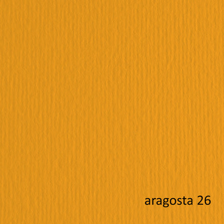 Blister 10Fg Cartoncino 70X100 220Gr Aragosta 126 Fabriano Elle Erre