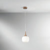 Sospensione in metallo con diffusore in vetro Bianca/Legno 1Xe14 10X17X150Cm