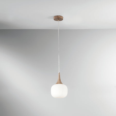 Sospensione in metallo con diffusore in vetro Bianca/Legno 1Xe14 10X17X150Cm