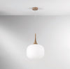 Sospensione in metallo con diffusore in vetro Bianca/Legno 1Xe27 10X30X150Cm